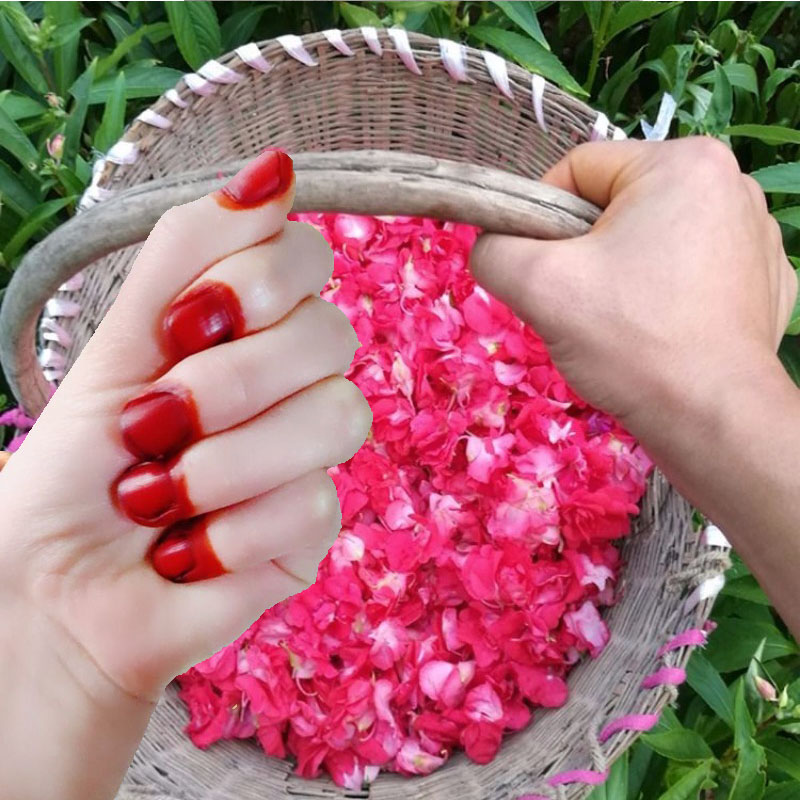 Nail Art For Men - 40g ヘナネイル染料パウダー 男女兼用 天然植物ヘナ 深紅茶色 ネイルシャインパウダー